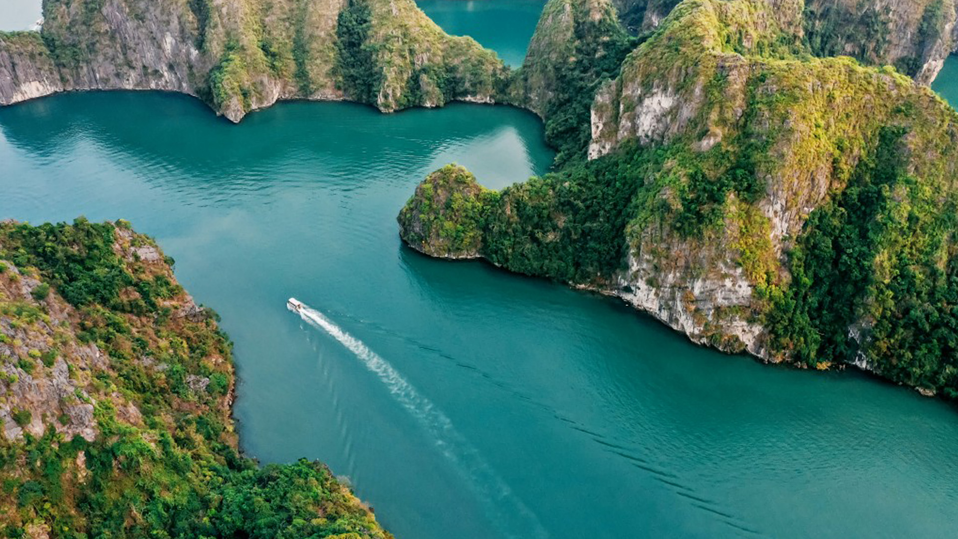 ĐẢO CÁT BÀ - カットバ島